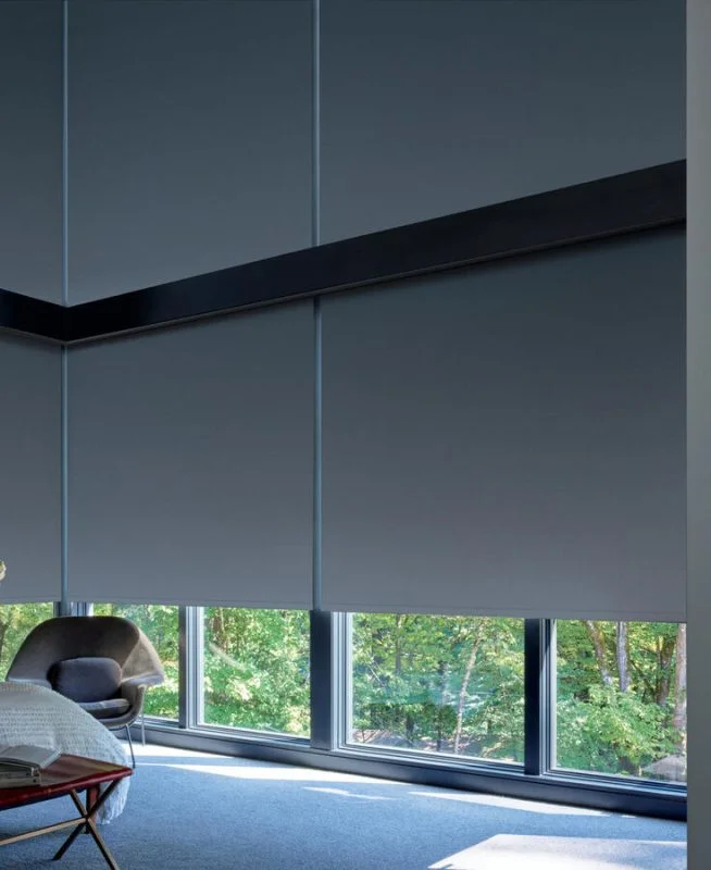 Hunter Douglas Window Blinds